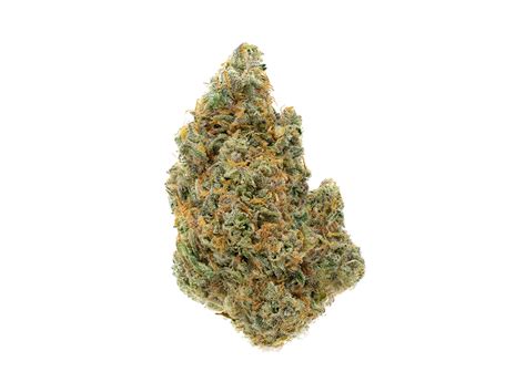 best terrapin strains|100+ Weed Strains Available for Pennsylvania Patients